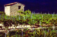 /album/galleria-foto-homepage/scansione0011-jpg/