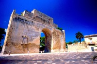 /album/galleria-foto-homepage/scansione0033-jpg/